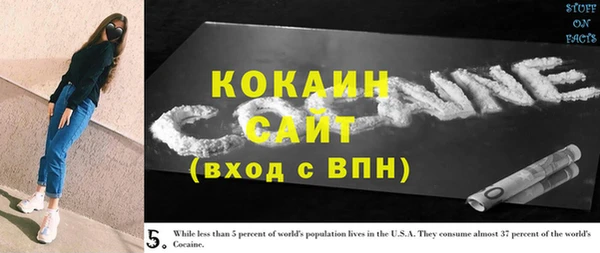 крисы Абаза