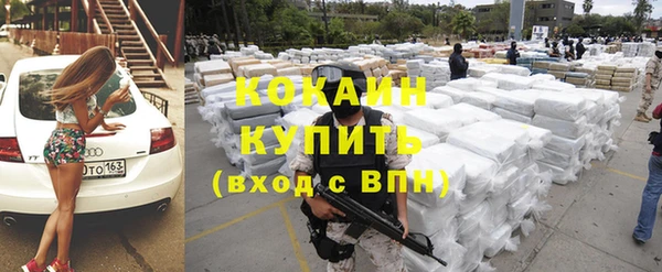 крисы Абаза