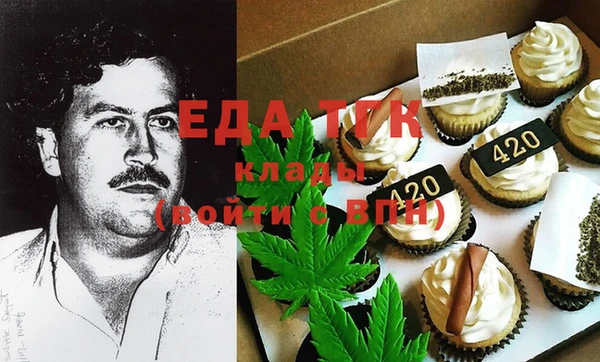 крисы Абаза
