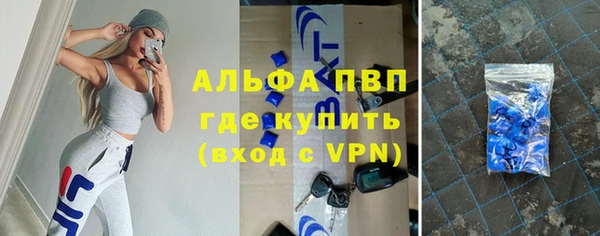 крисы Абаза