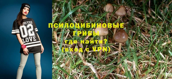 МДПВ Абинск