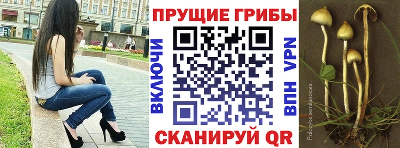 Галлюциногенные грибы прущие грибы Дубовка